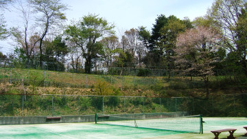 仙台テニスクラブの施設画像