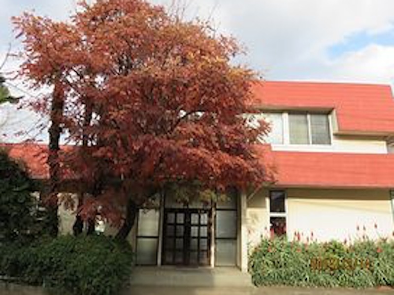 桜テニスクラブの施設画像