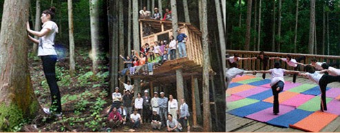 森林ヨガセラピー大月ロハス村 の施設画像