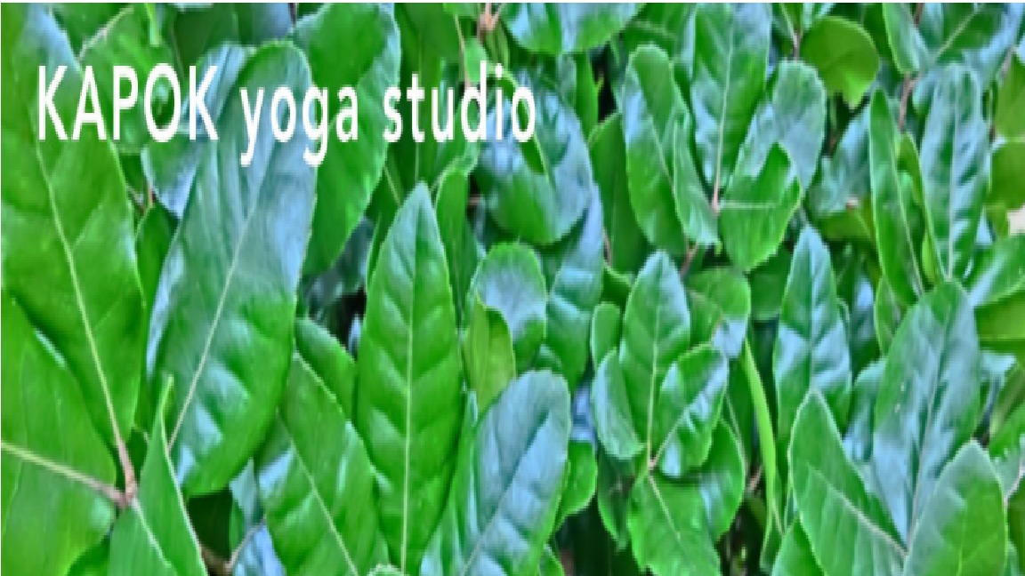 KAPOK yoga studioの施設画像
