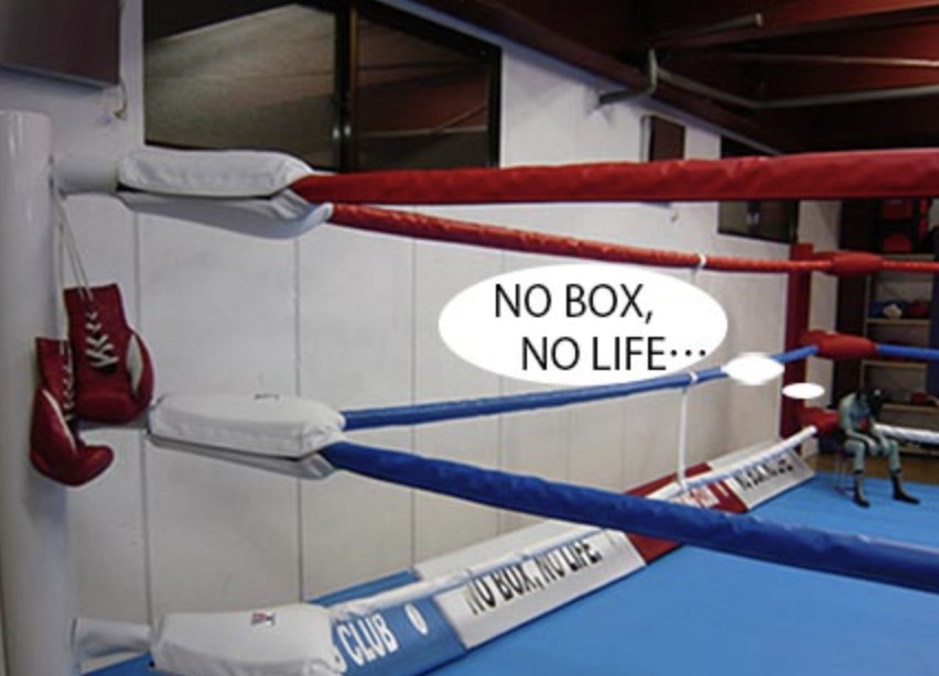 チキータ・ボクシング・スポーツクラブの施設画像