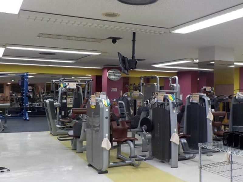 ゴールドジム 札幌大通 ビジターご優待券 クーポン券 祝開店 大放出セール開催中