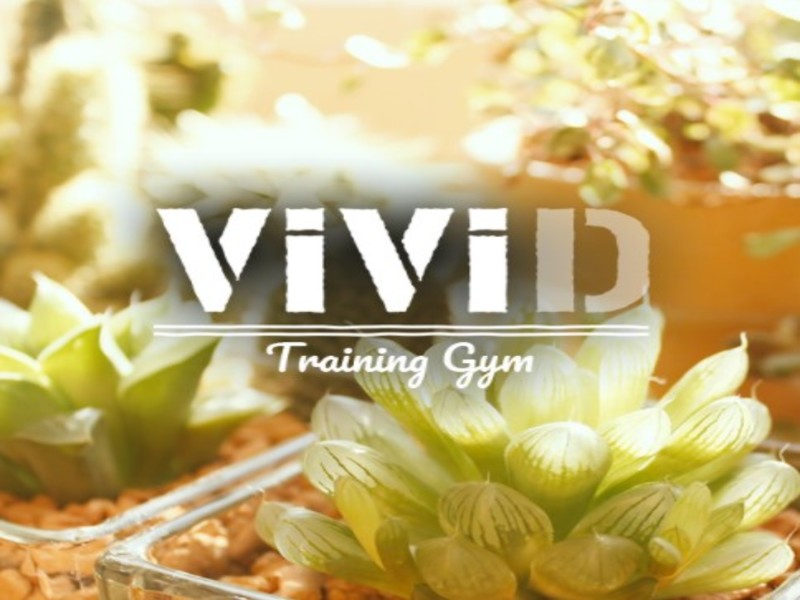 VIVIDの施設画像