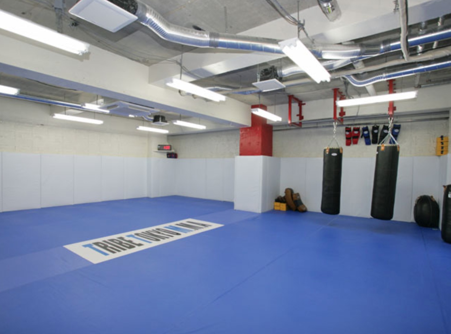 TRIBE TOKYO MMA 本部の施設画像