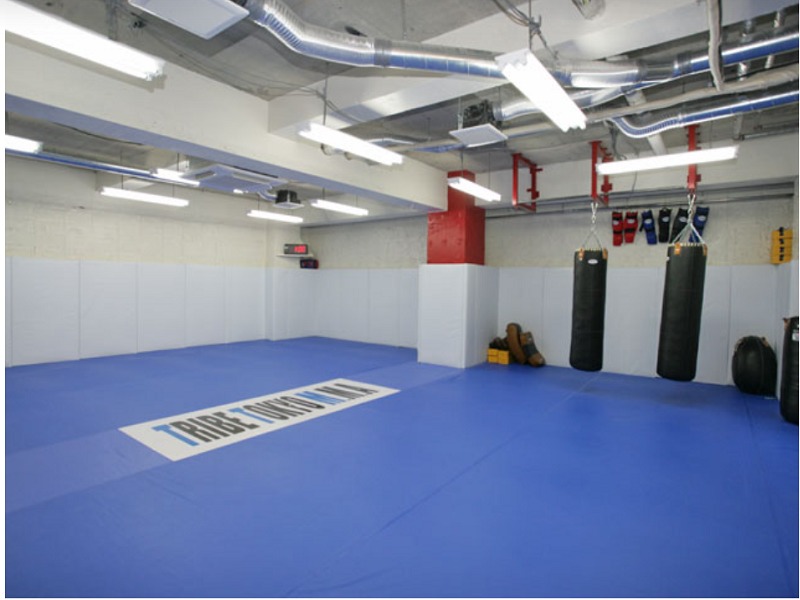 TRIBE TOKYO MMA 本部（練馬）の施設画像