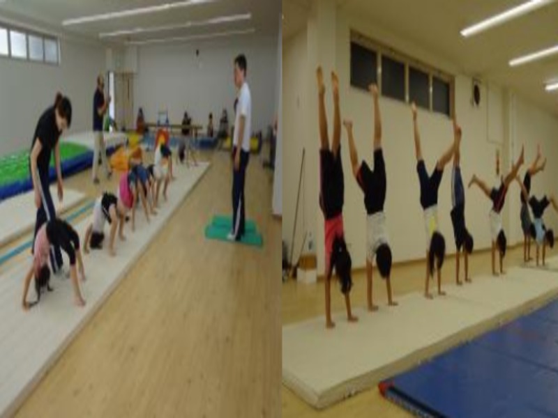 MIRAI体操クラブの施設画像