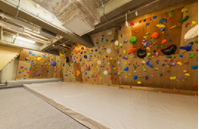 APEX Climbing Gym(エイペックスクライミングジム)新宿西口店の施設画像