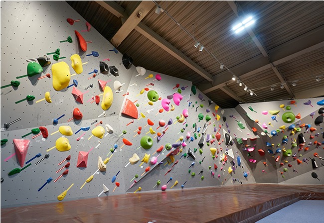 DOGWOOD Climbing Gym 調布店の施設画像